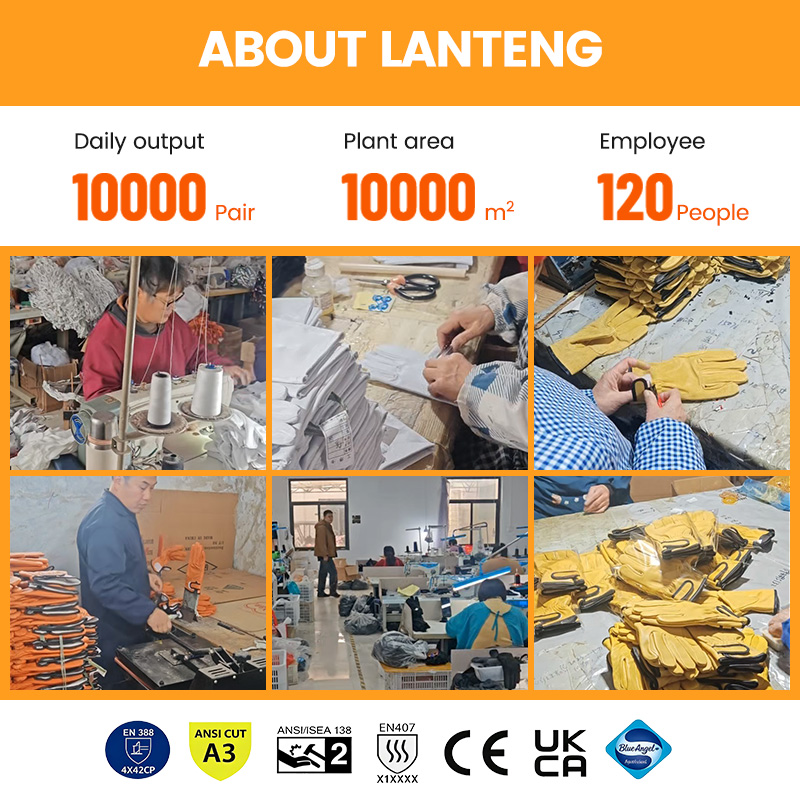Op maat gemaakte logo hoogwaar - Leatherwork Logo recensie en prijs